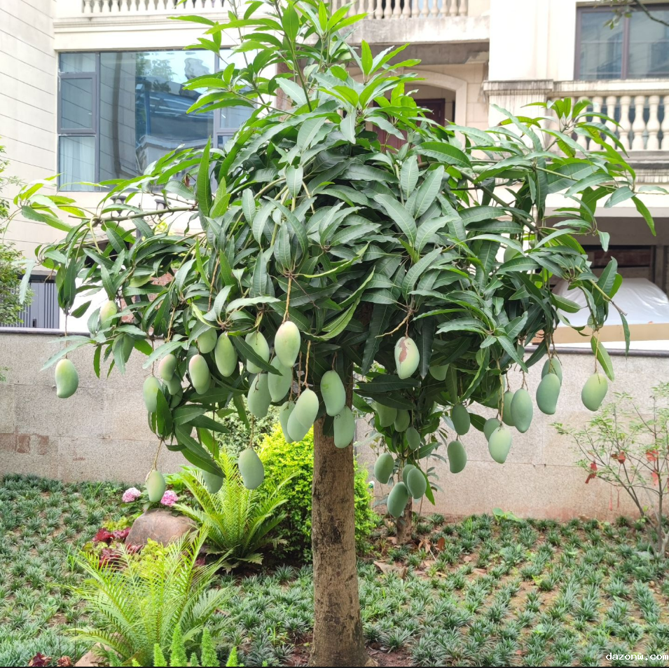 学校食堂厨具采购询价招标公告